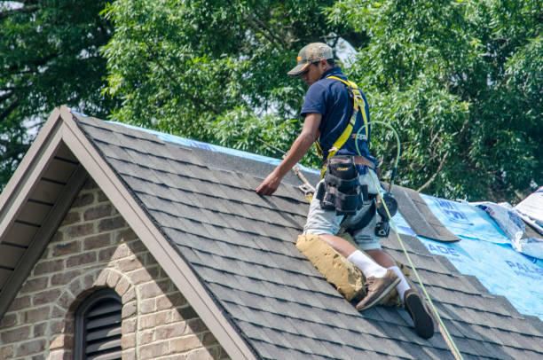 Best Residential Roofing Contractor  in Christiana, TN